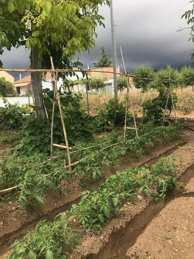 El Carmen Bed and Breakfast Ribera Alta
